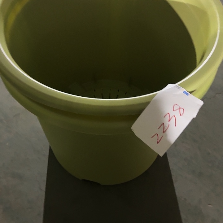 编号2238编号2238