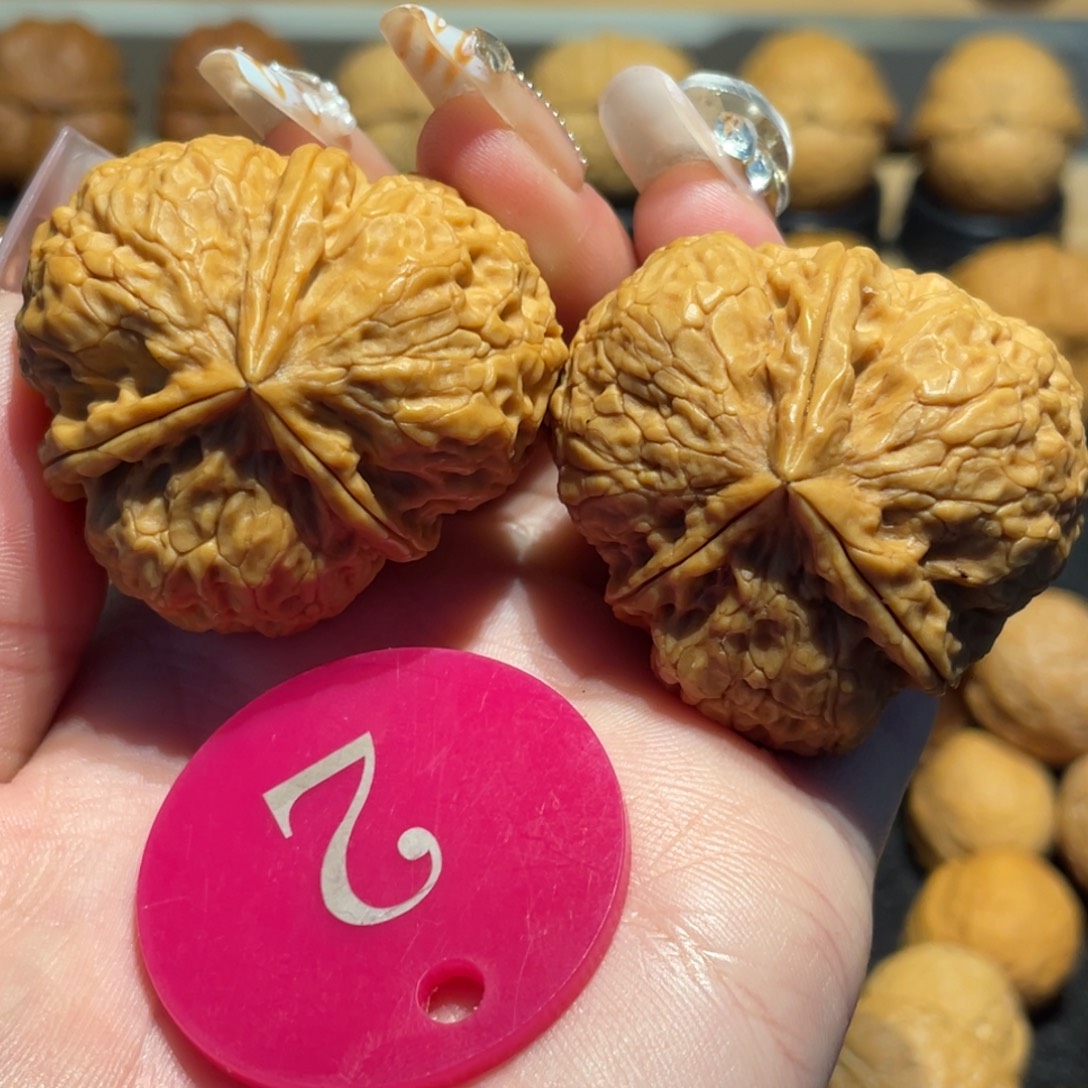 暖***风铁狮子三棱核桃微彩40