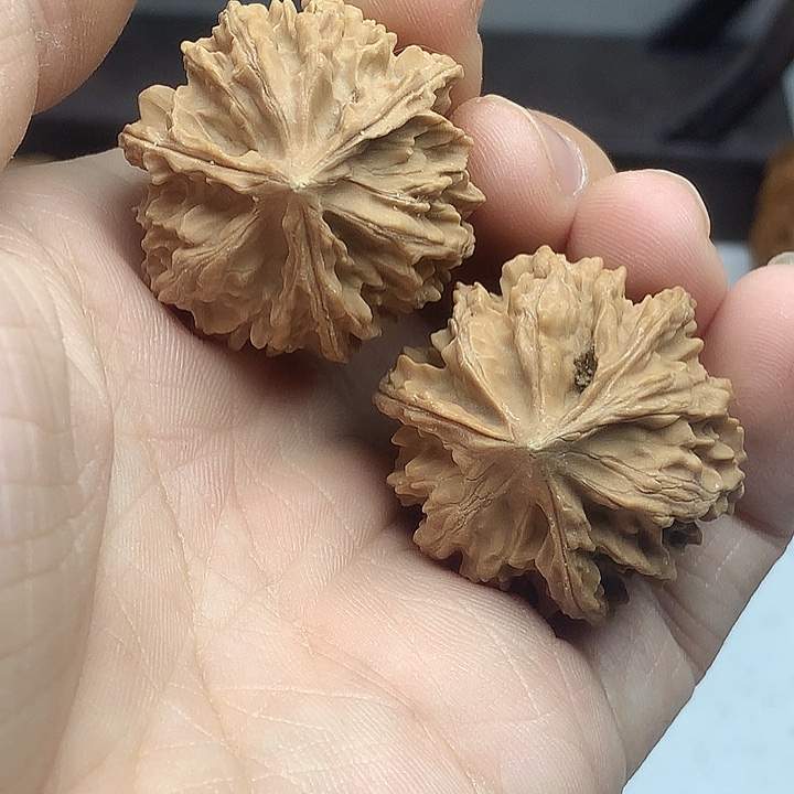 文玩核桃吊坠33正奔