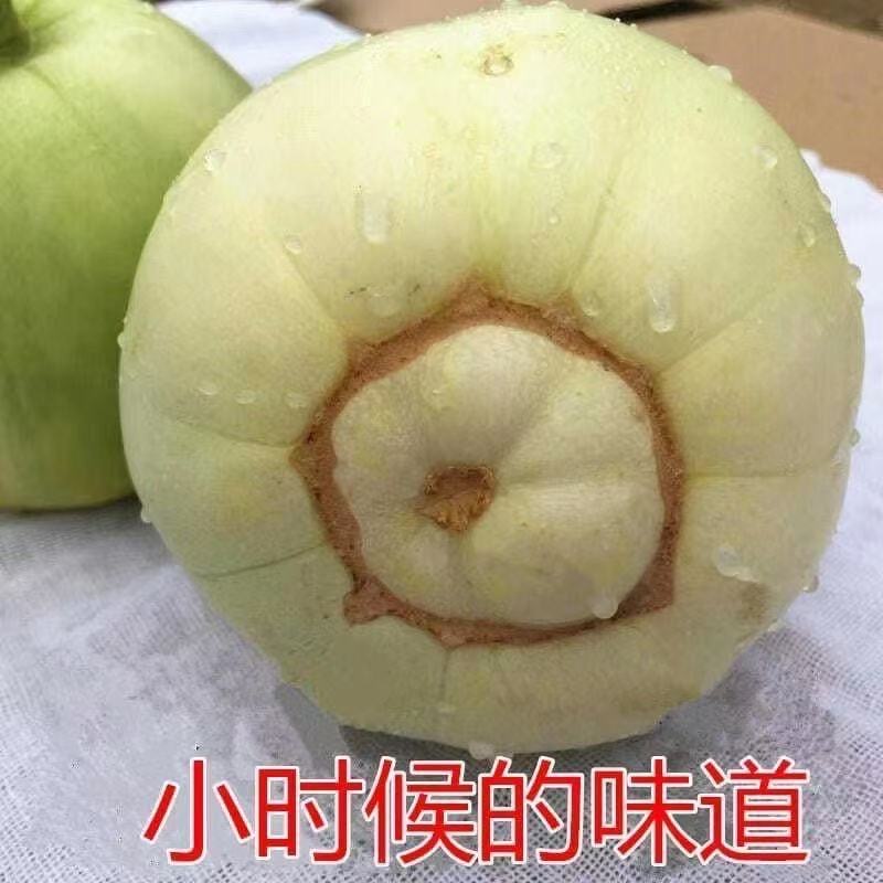 老式甜宝超甜白甜瓜薄皮现摘新鲜绿宝小白瓜小香瓜大肚脐甜宝香瓜