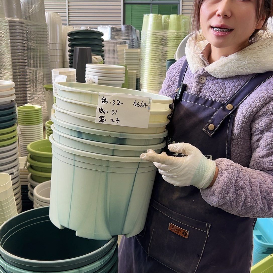 瑕疵矮胖6#米白6个无托