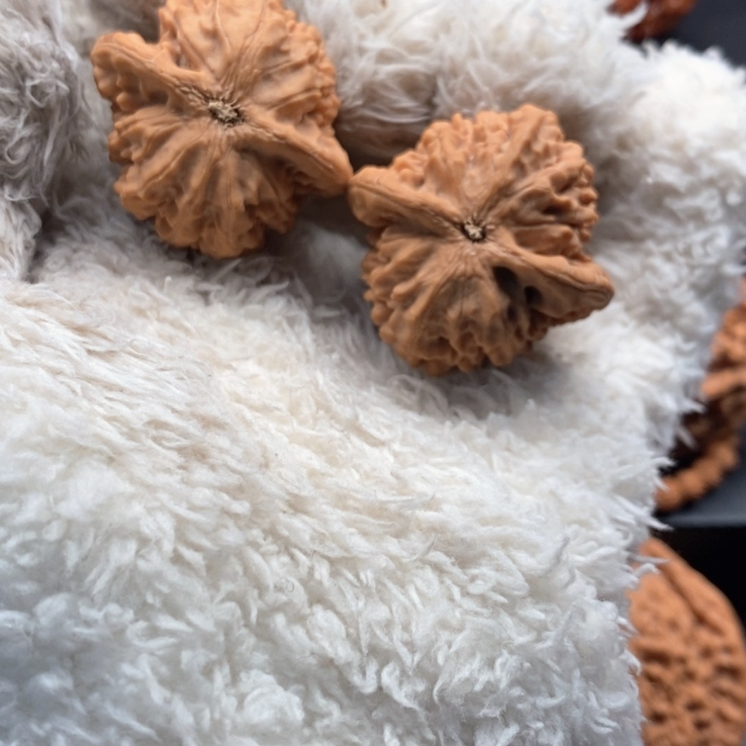 把件文玩核桃y****6秦岭文玩核桃