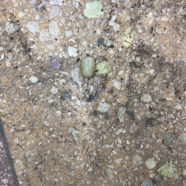 蔚***妈和田玉（黄玉）未镶嵌挂件