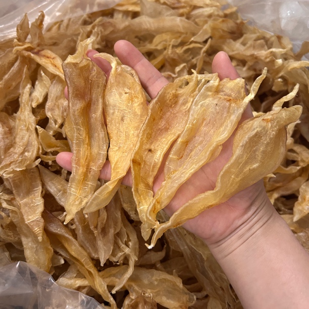 野生小北海公胶 纯淡干北海鳘鱼胶 月子胶