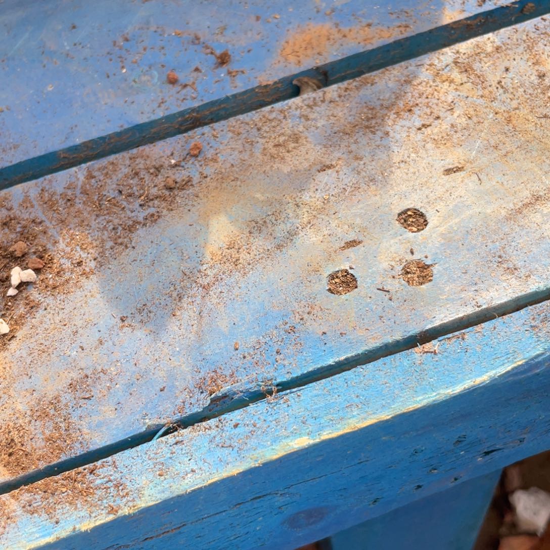 无花朵若茹东云单拍保温箱