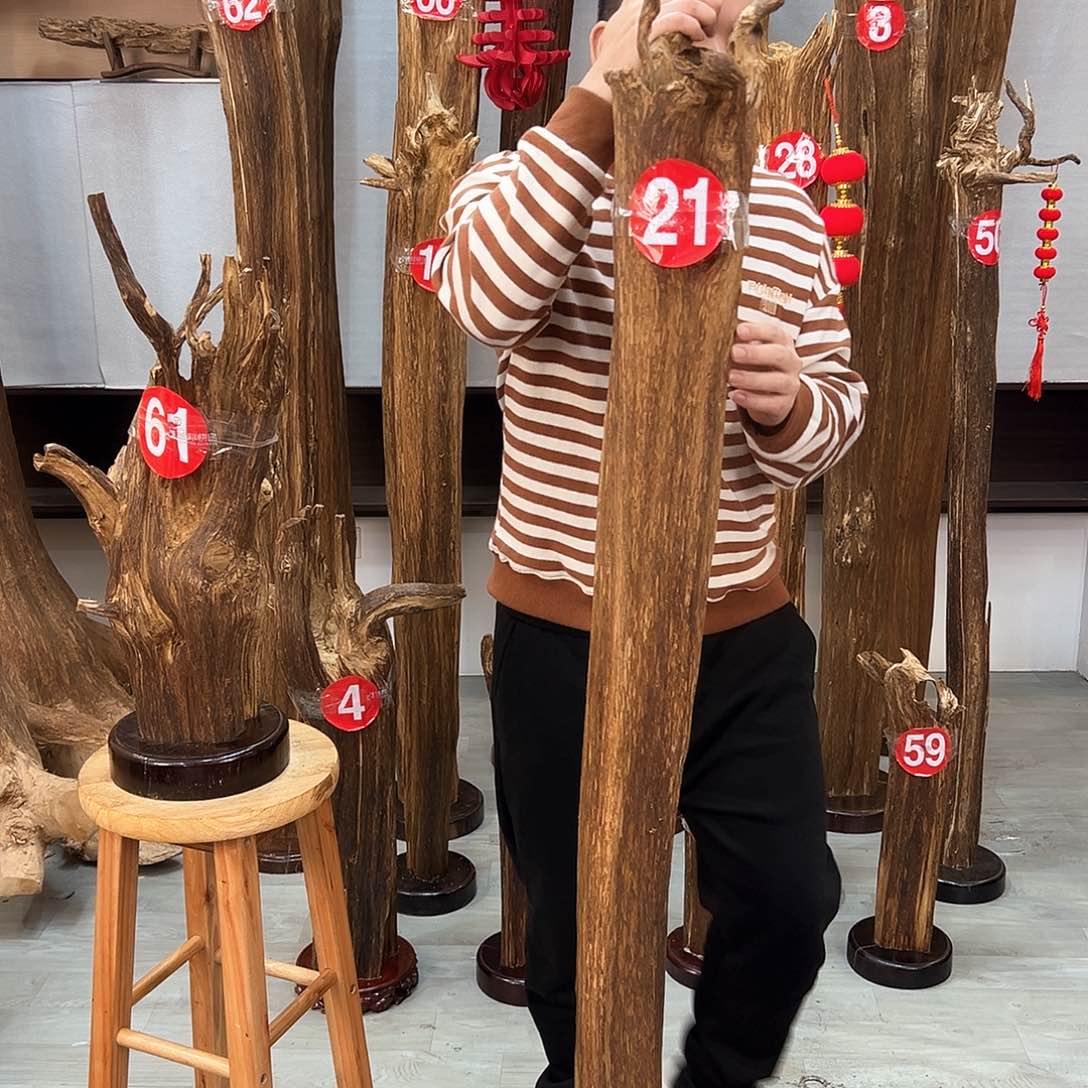 沉香摆件晨****)海南沉香摆件