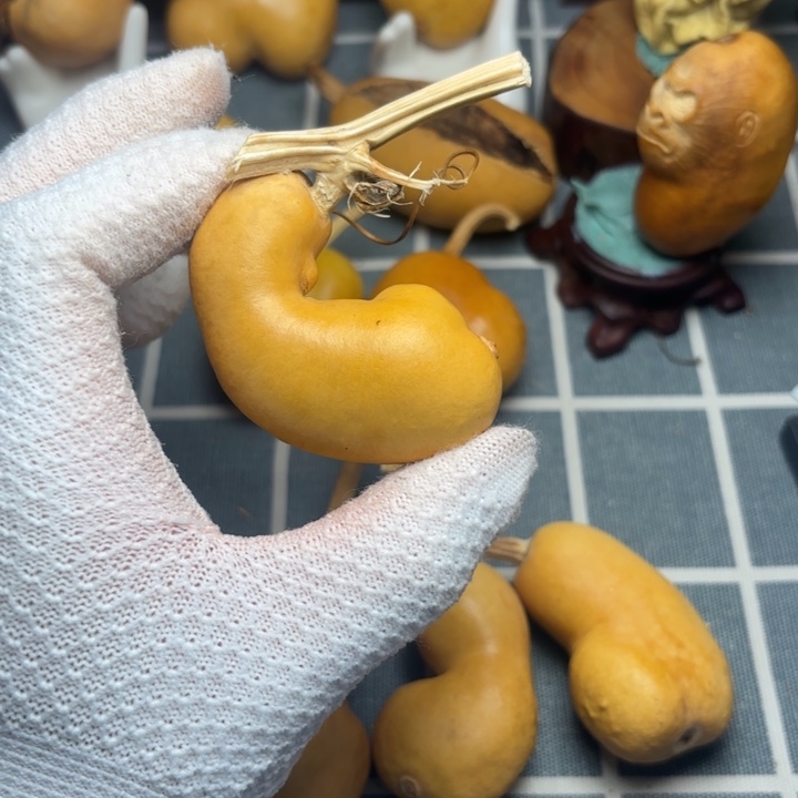 红***司葫芦霉666666666666666