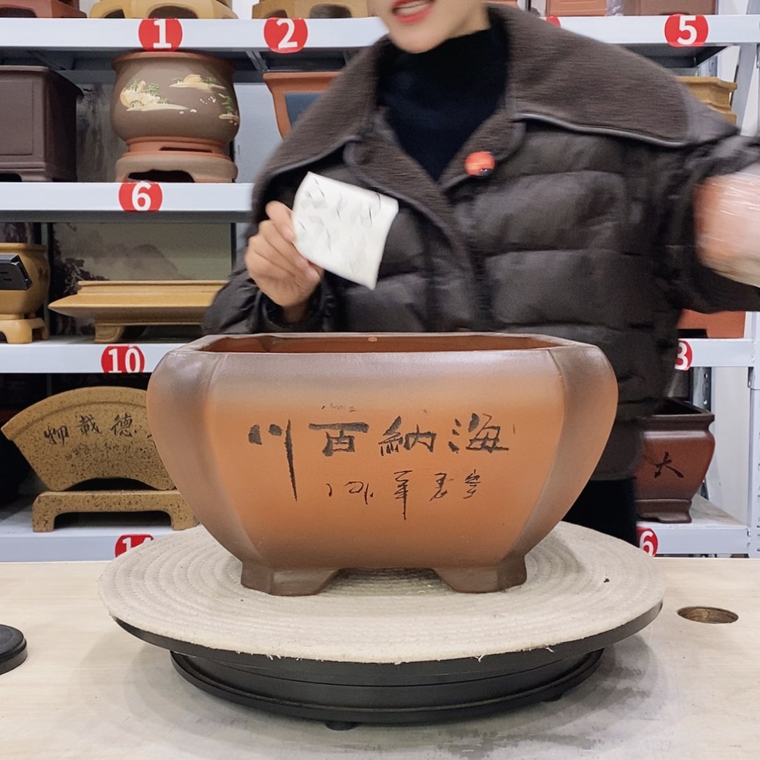 紫砂花盆紫砂花盆