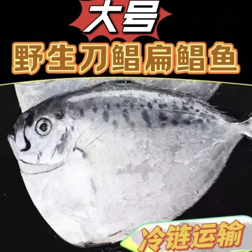 刀鲳鱼飞刀鲳斧头鲳鱼野生海捕鱼扁鲳鱼到手5斤速冻银鲳鱼海鲜
