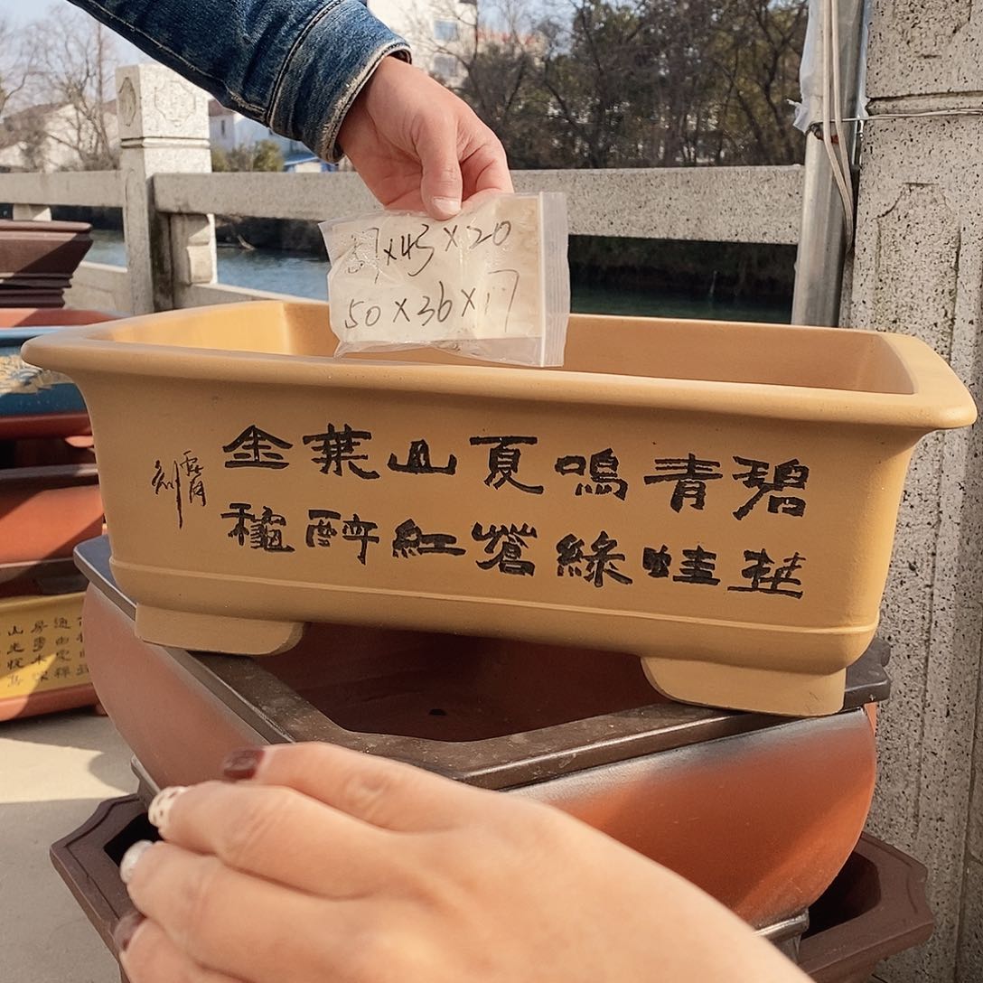 紫砂花盆紫砂艺术