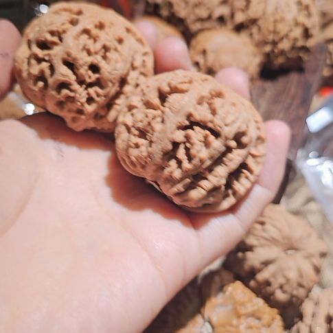 人***常文玩核桃吊坠44粗筋