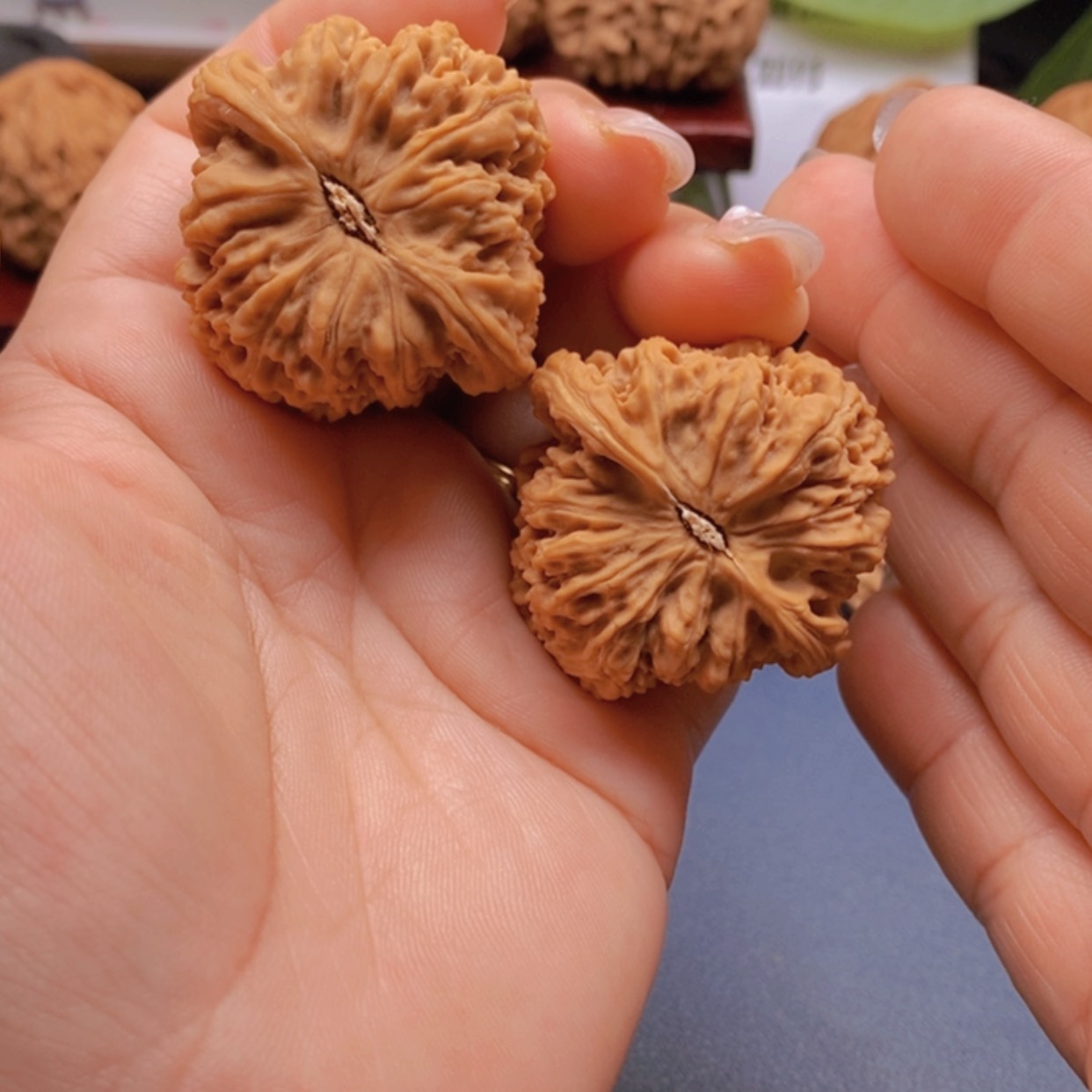 【闪购商品】6。天然矮桩。逐鹿南疆石