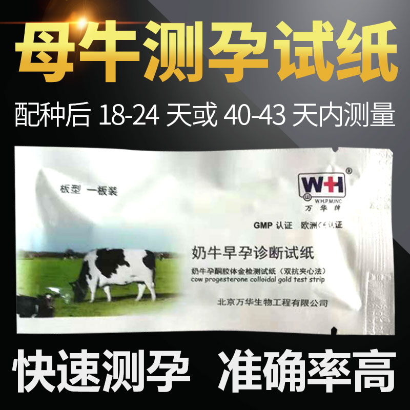 母牛测孕纸牛早孕测试纸棒母猪兽用羊怀孕测试卡奶牛用验孕纸猪用