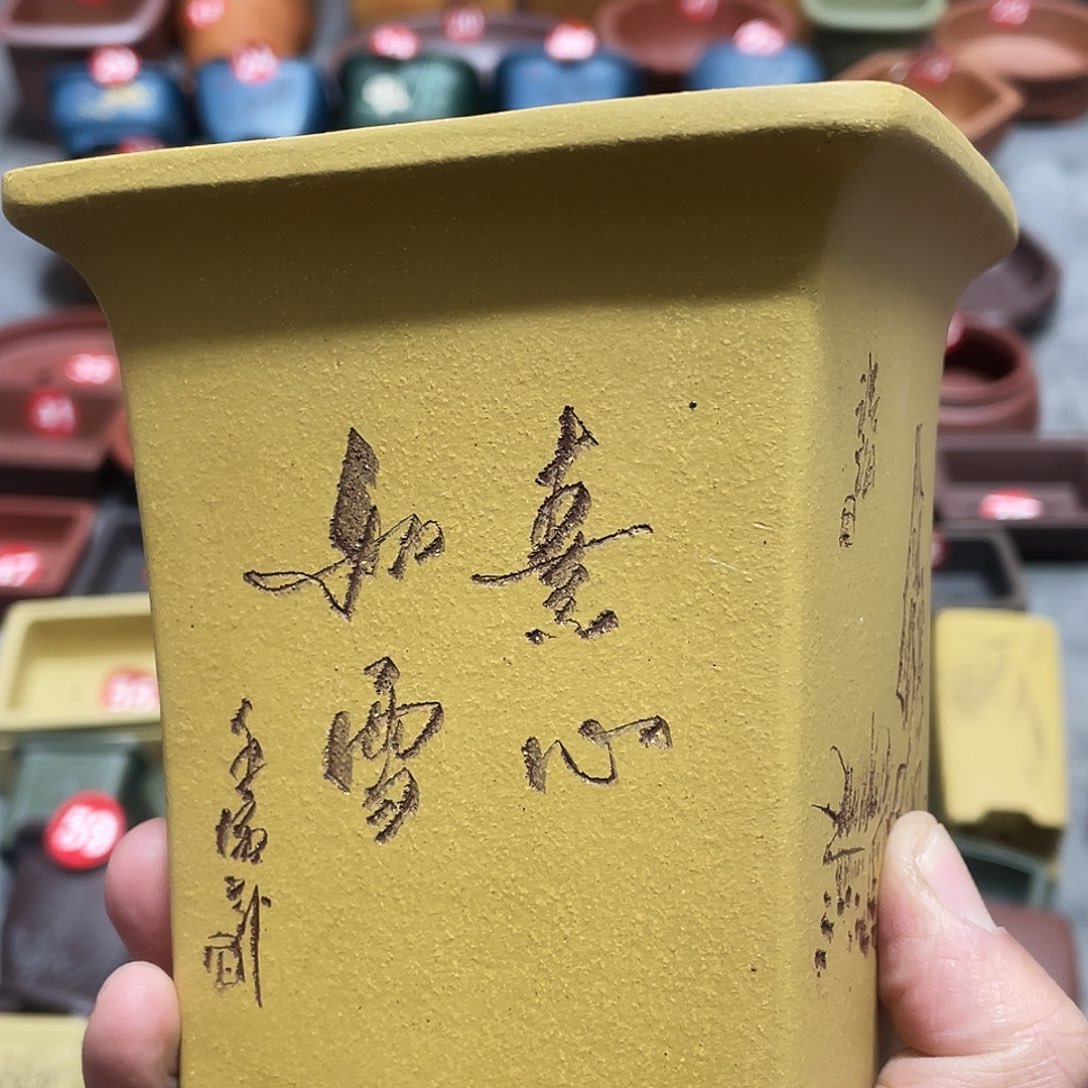 紫砂小盆8.5*11cmmmmmm