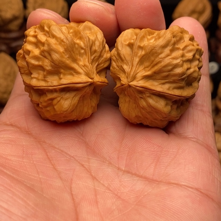 把件文玩核桃6金尊龙脊