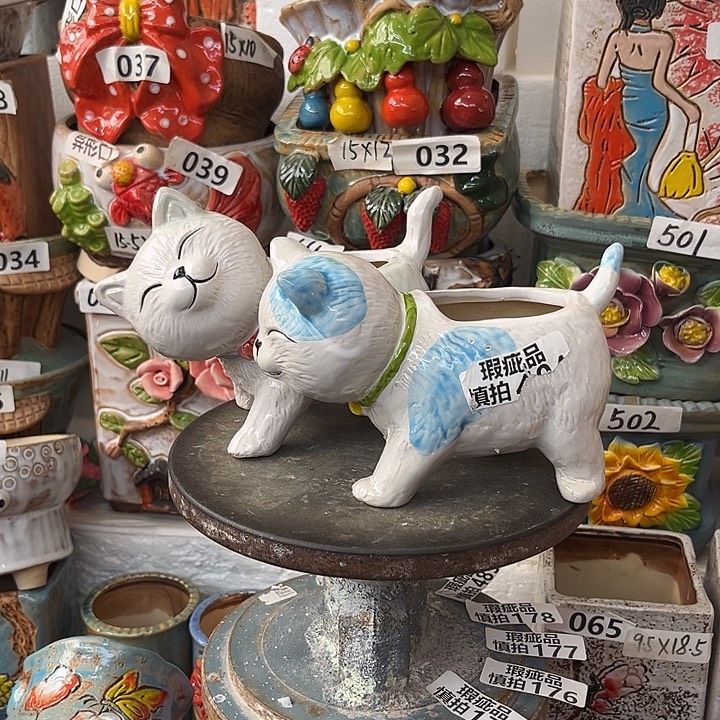 粗陶材质多肉花盆