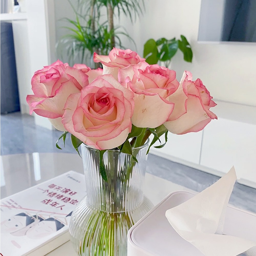 云南基地直发20枝爱莎玫瑰鲜切花家用插花正宗果汁阳台月季