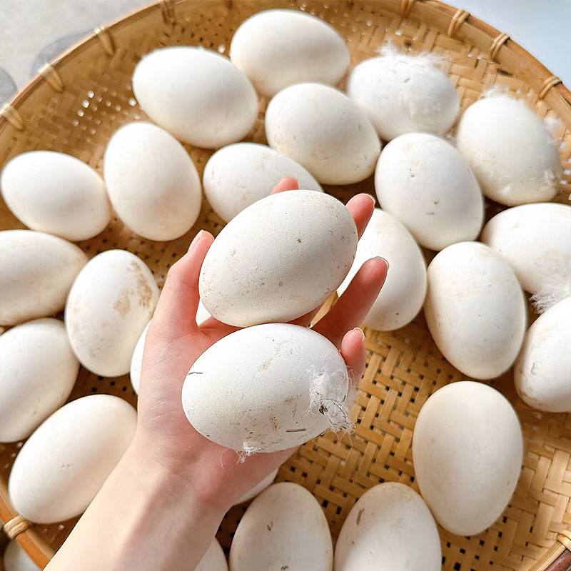 【到手20枚 买10枚送10枚】农家现捡现发散养新鲜鹅蛋仔鹅蛋9