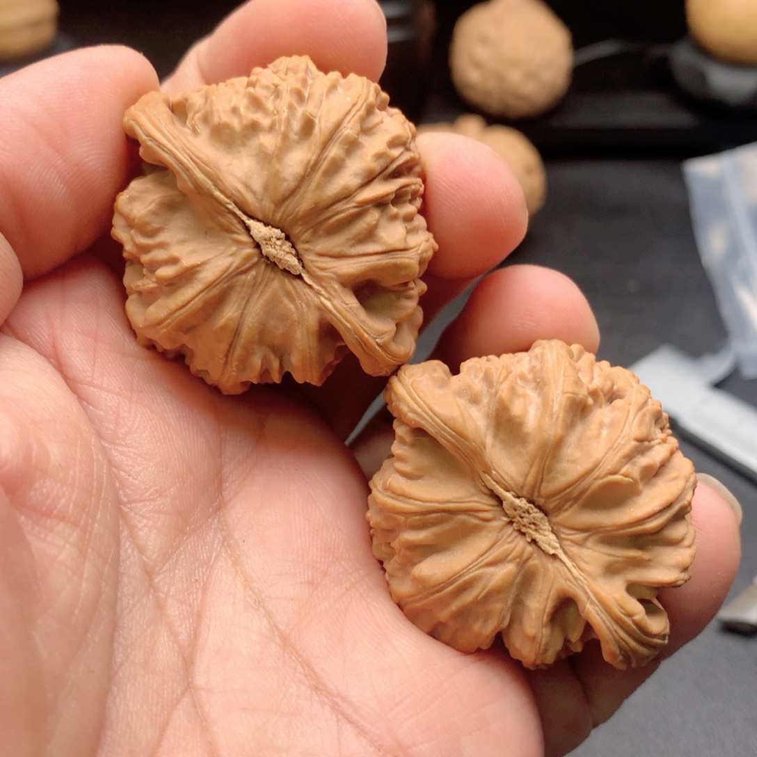 文玩核桃把件老*孩白狮子（水尖）