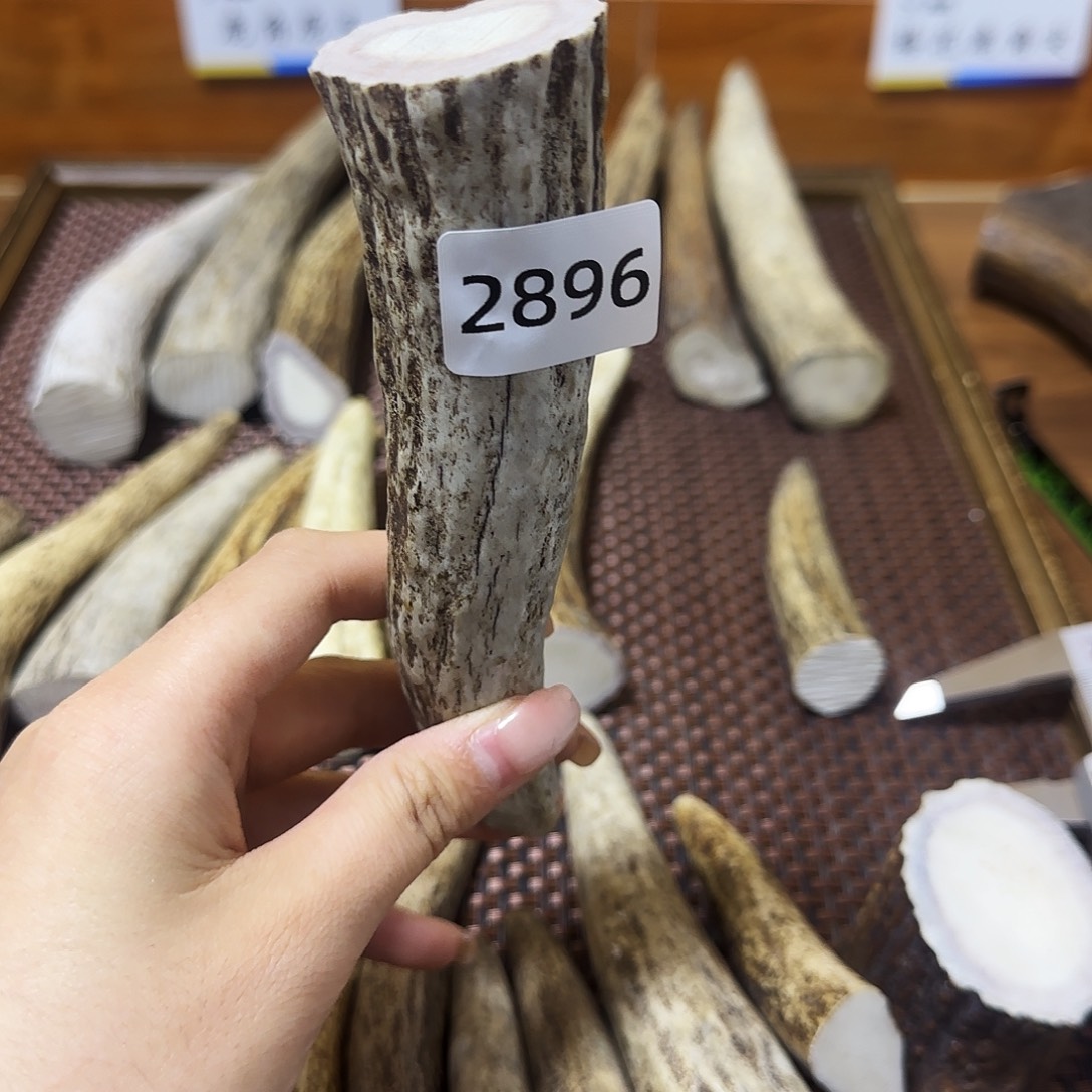 鹿骨手串/手链角尖2896