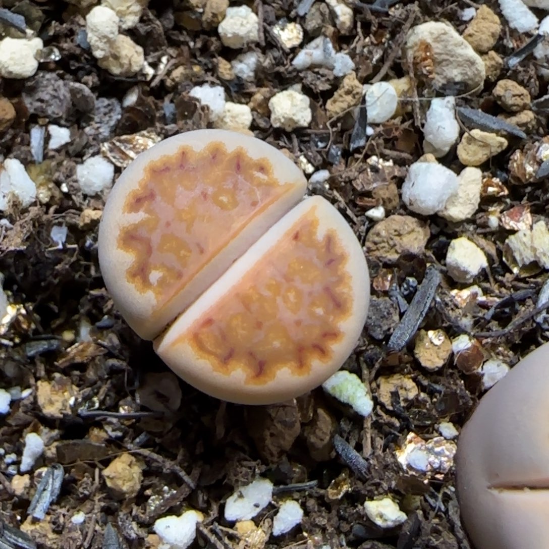 若***水12.2. 218.9111。 