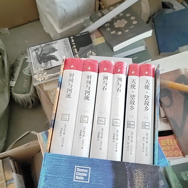 托马斯沃尔夫精装塑封全新