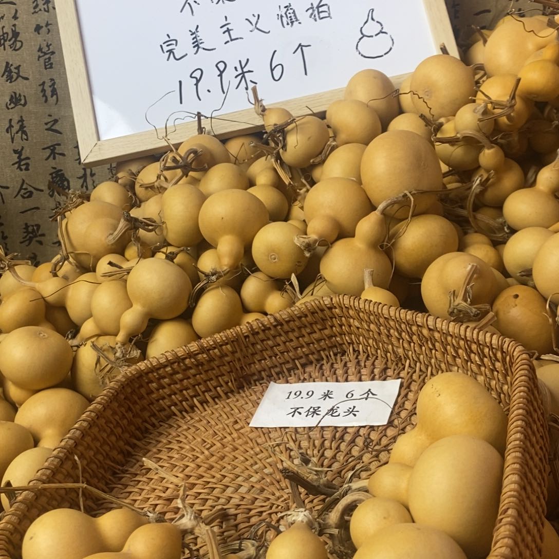郝**物7个葫芦，做葫芦树