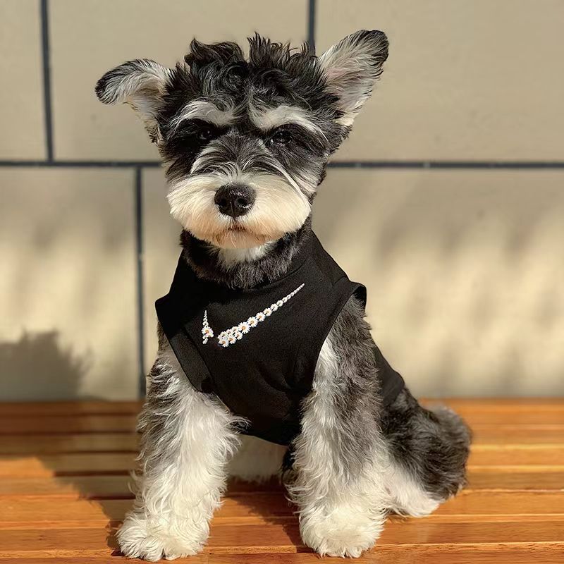狗狗衣服春夏衣网眼背心猫咪泰迪比熊博美巨贵雪纳瑞小狗短袖