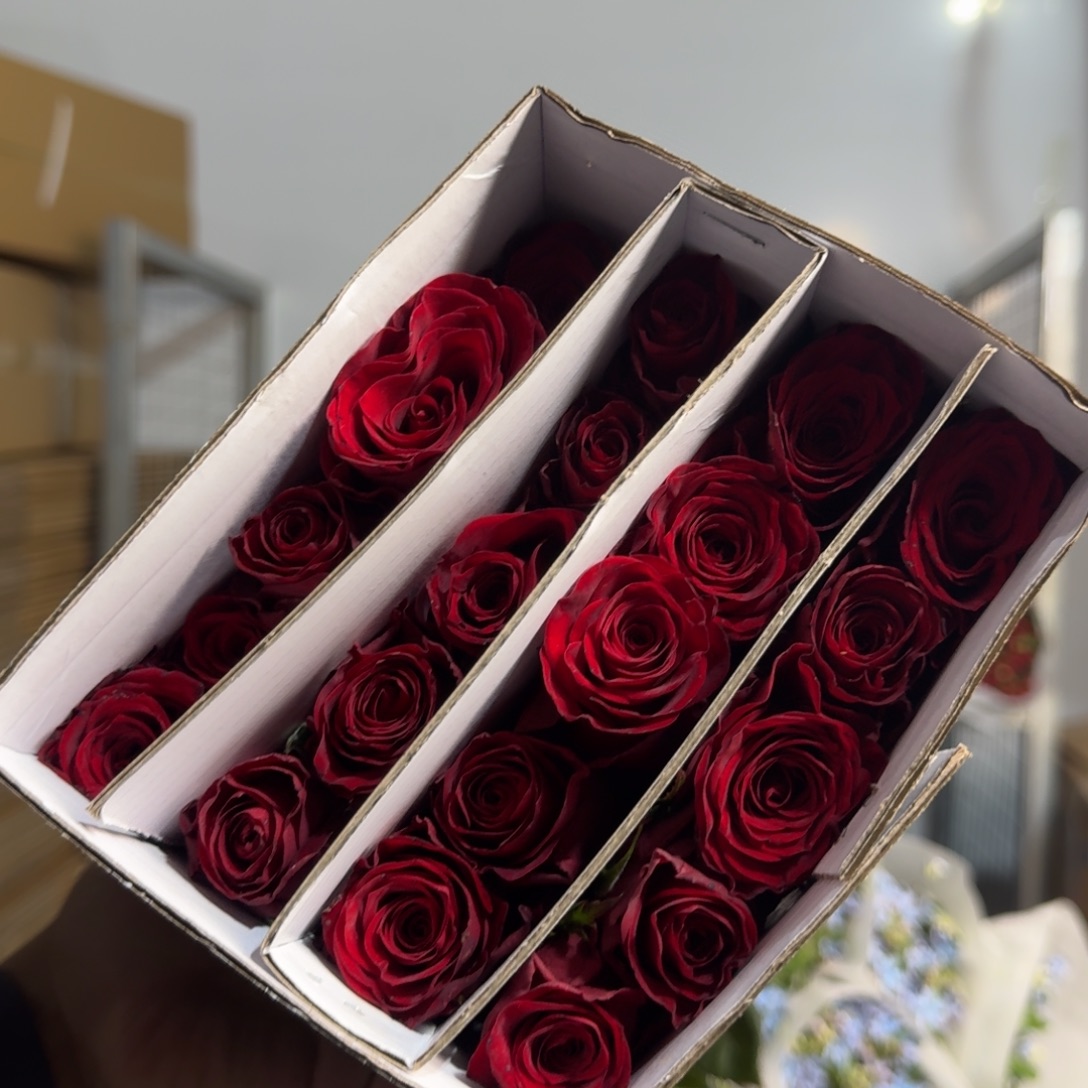 高原红2扎轻微上点不售后