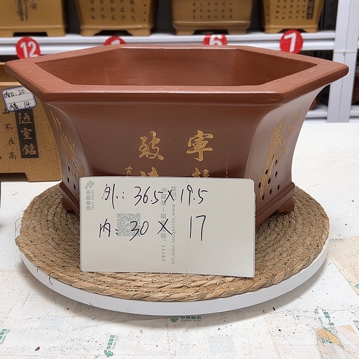 紫砂花盆蛇年大吉