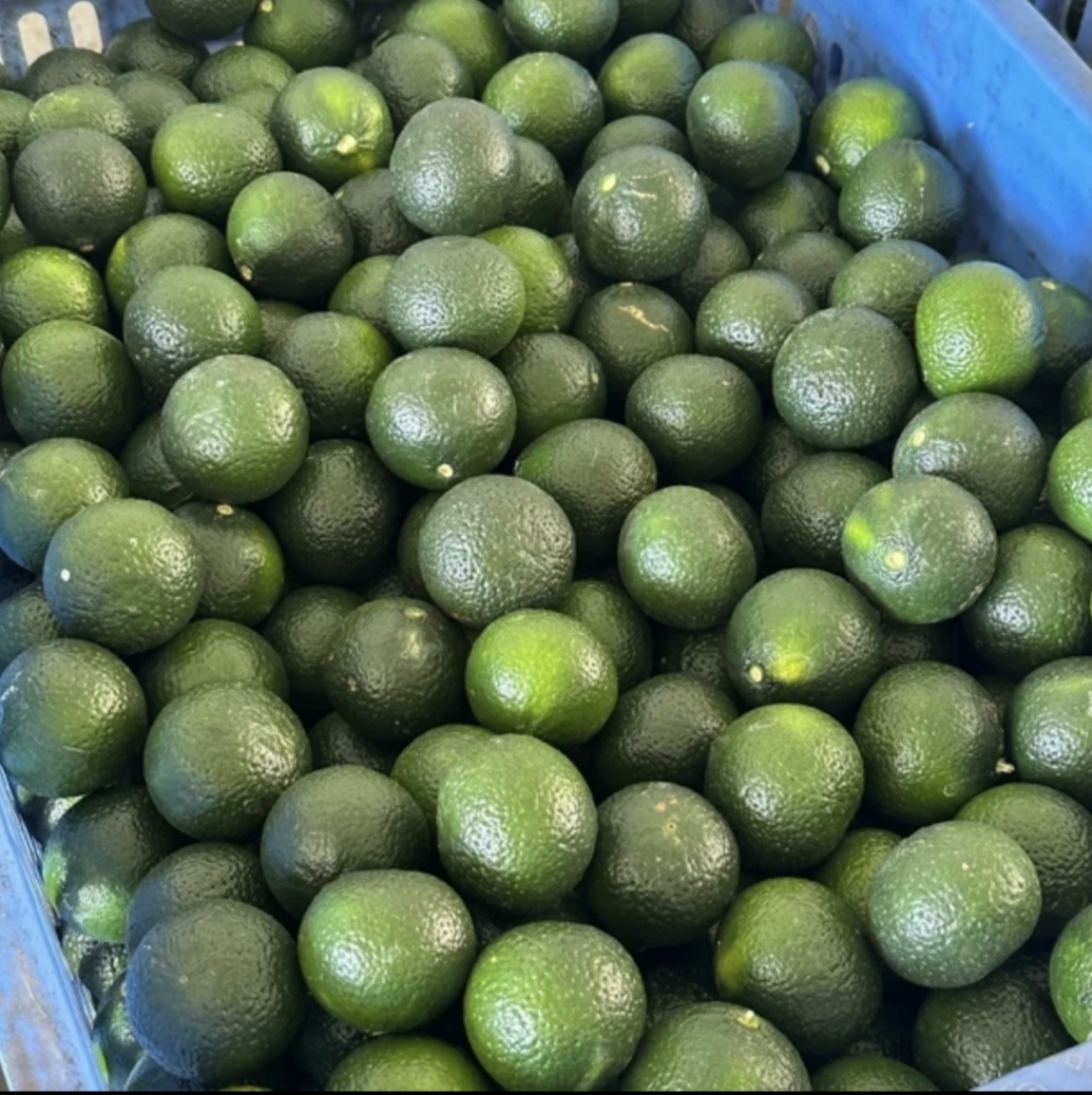 良陈皮活动节日链接