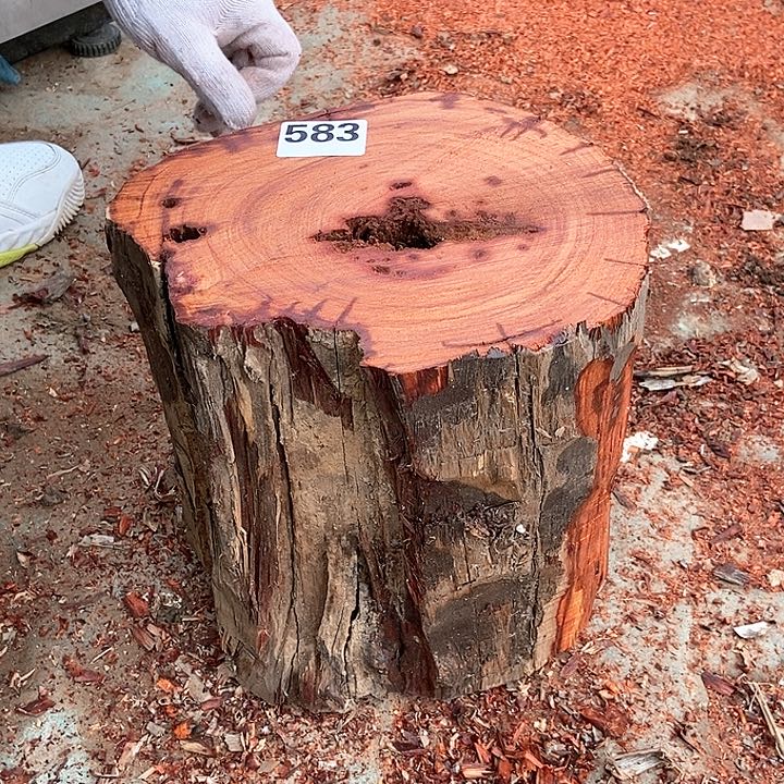 染料紫檀（血檀）583