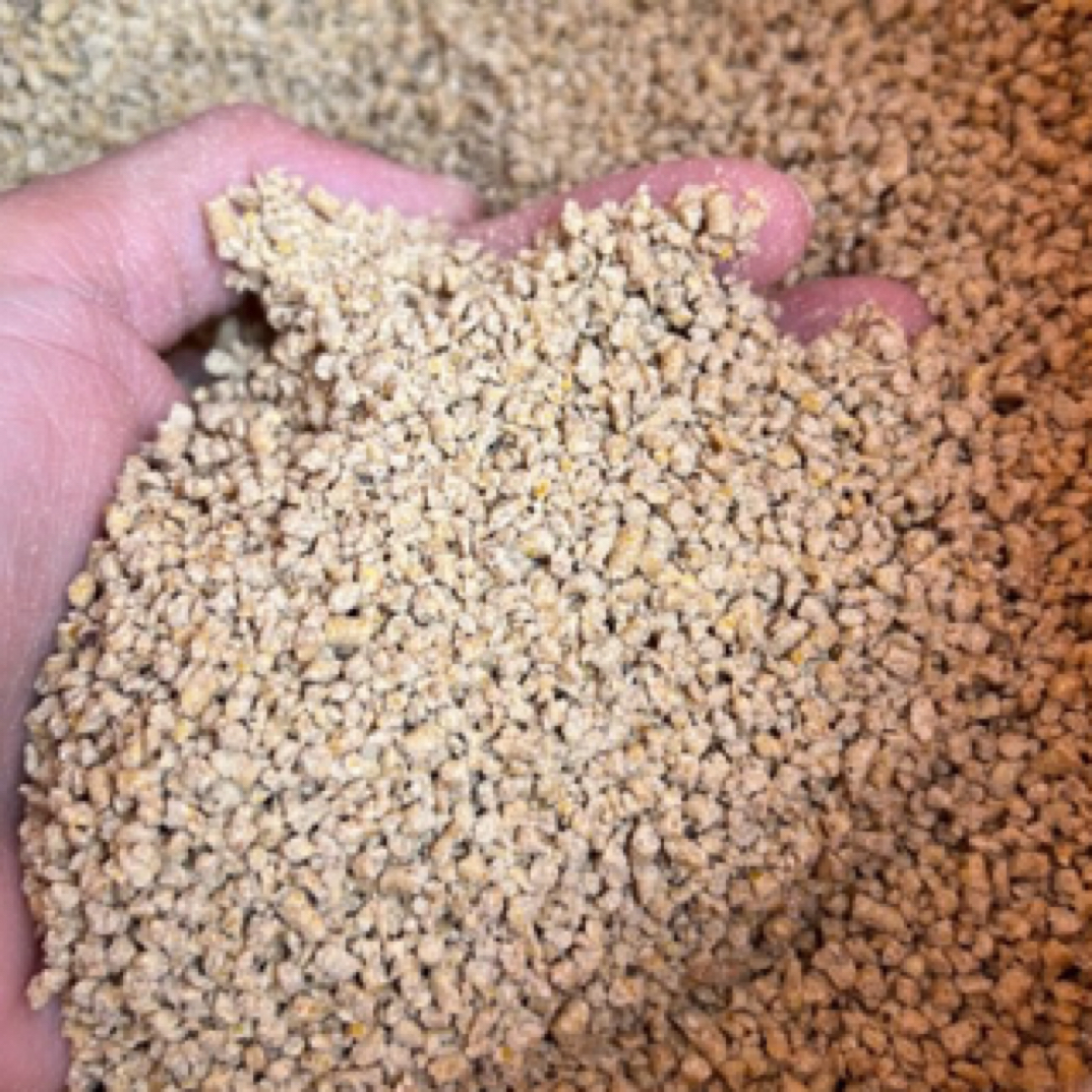 狮头鹅出壳苗专用饲料3只量饲料装