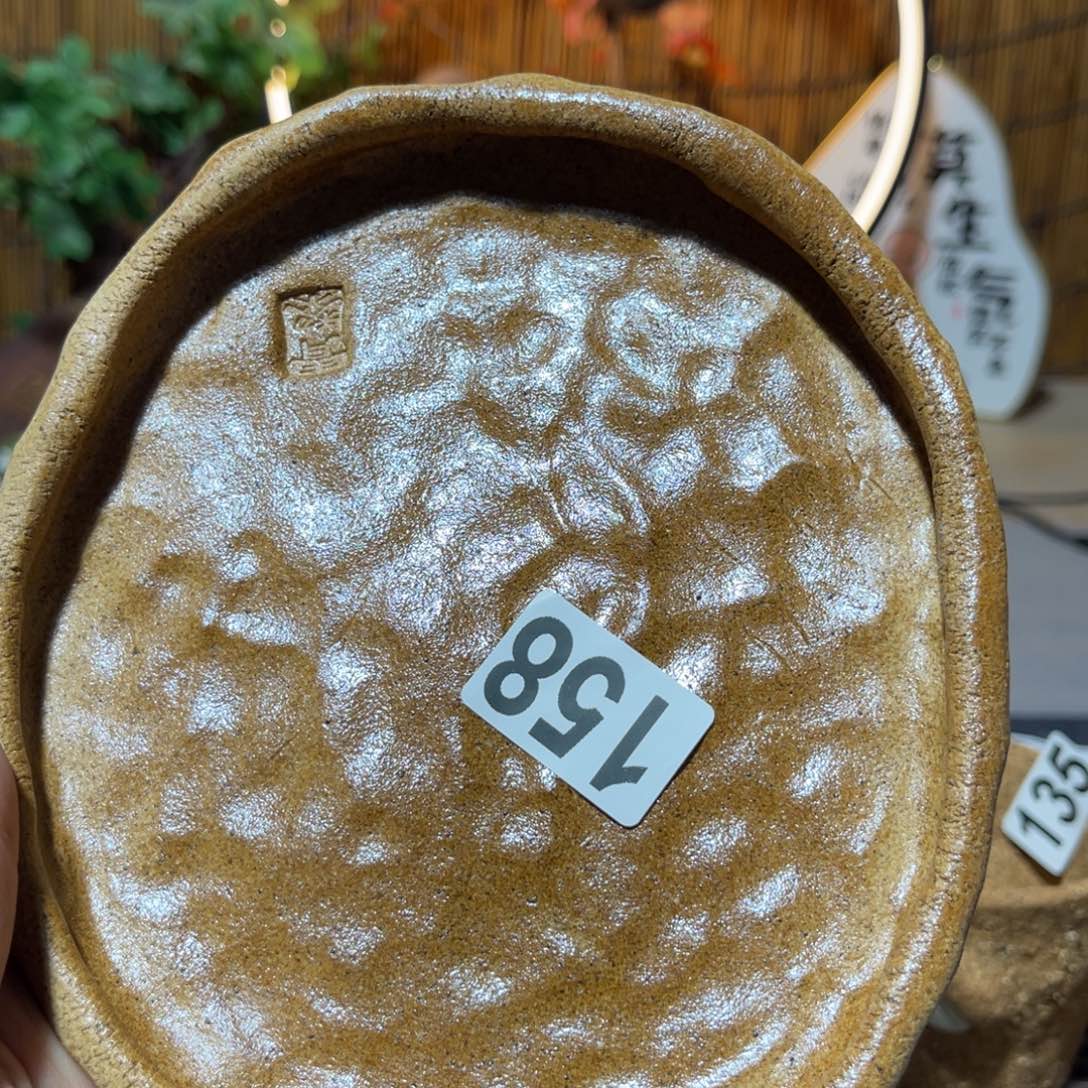 木村信弘柴烧保平