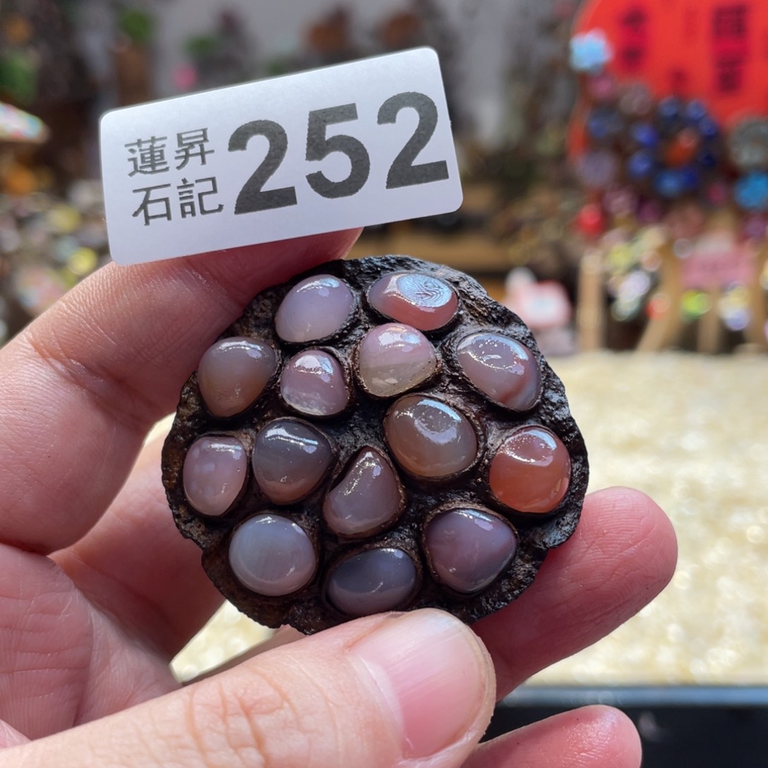 核桃木/黑胡桃（胡桃木）?****²252