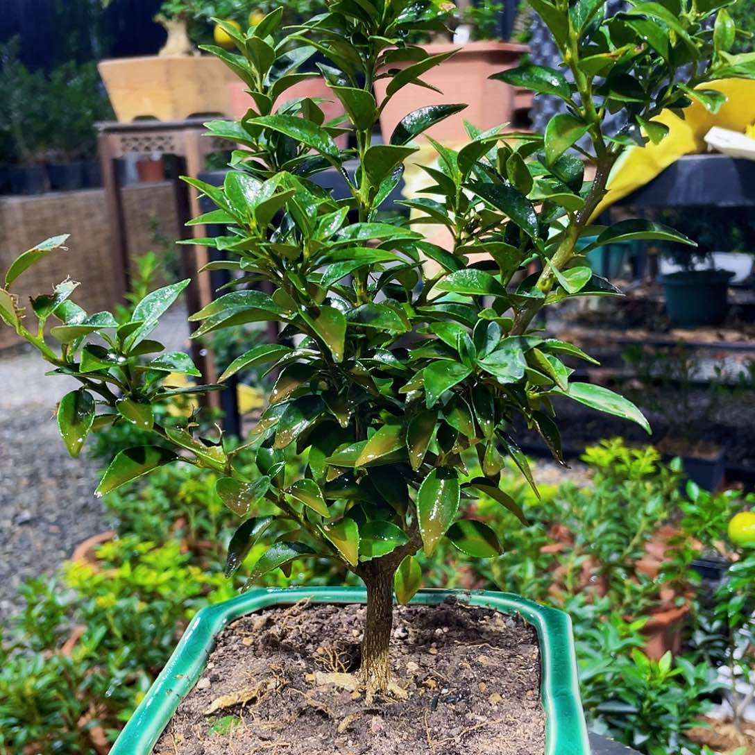 完全开放G***8出个沟沟壑壑会更丰富