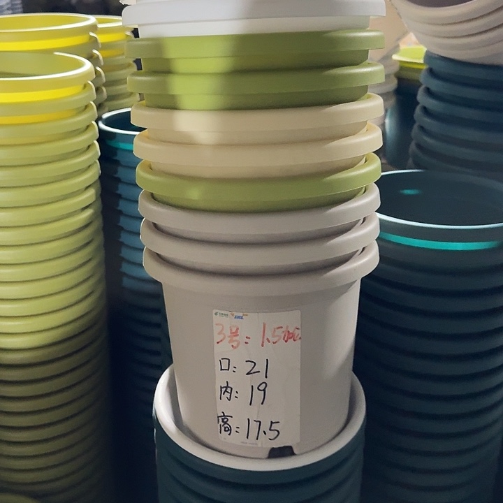 四季3#口径21灰白10个无托