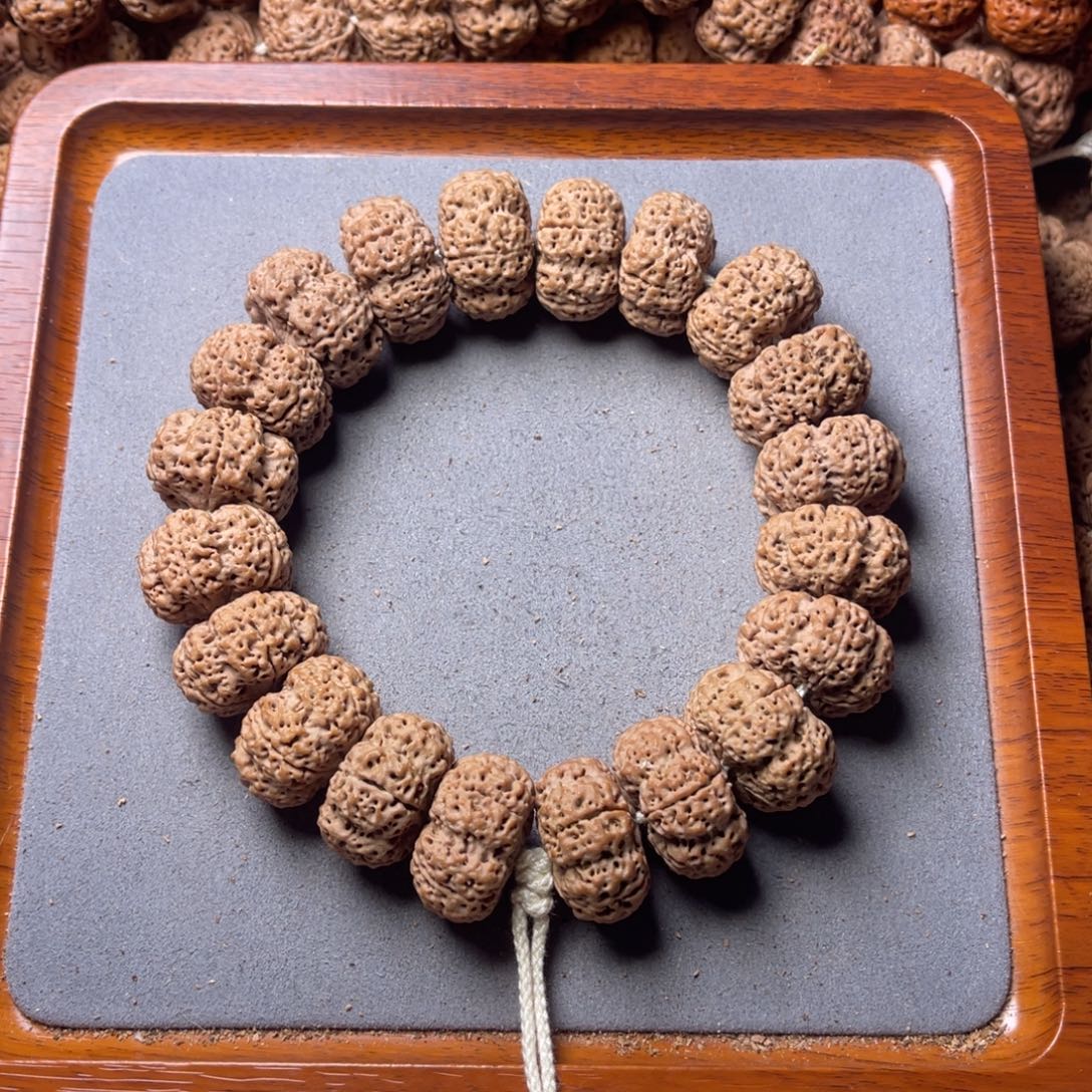 c***g菩提籽类23号金刚菩提梁梅花夹板手持25