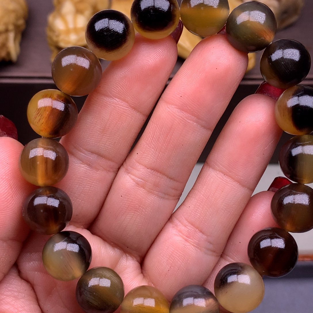 驼骨其他好看驴踢