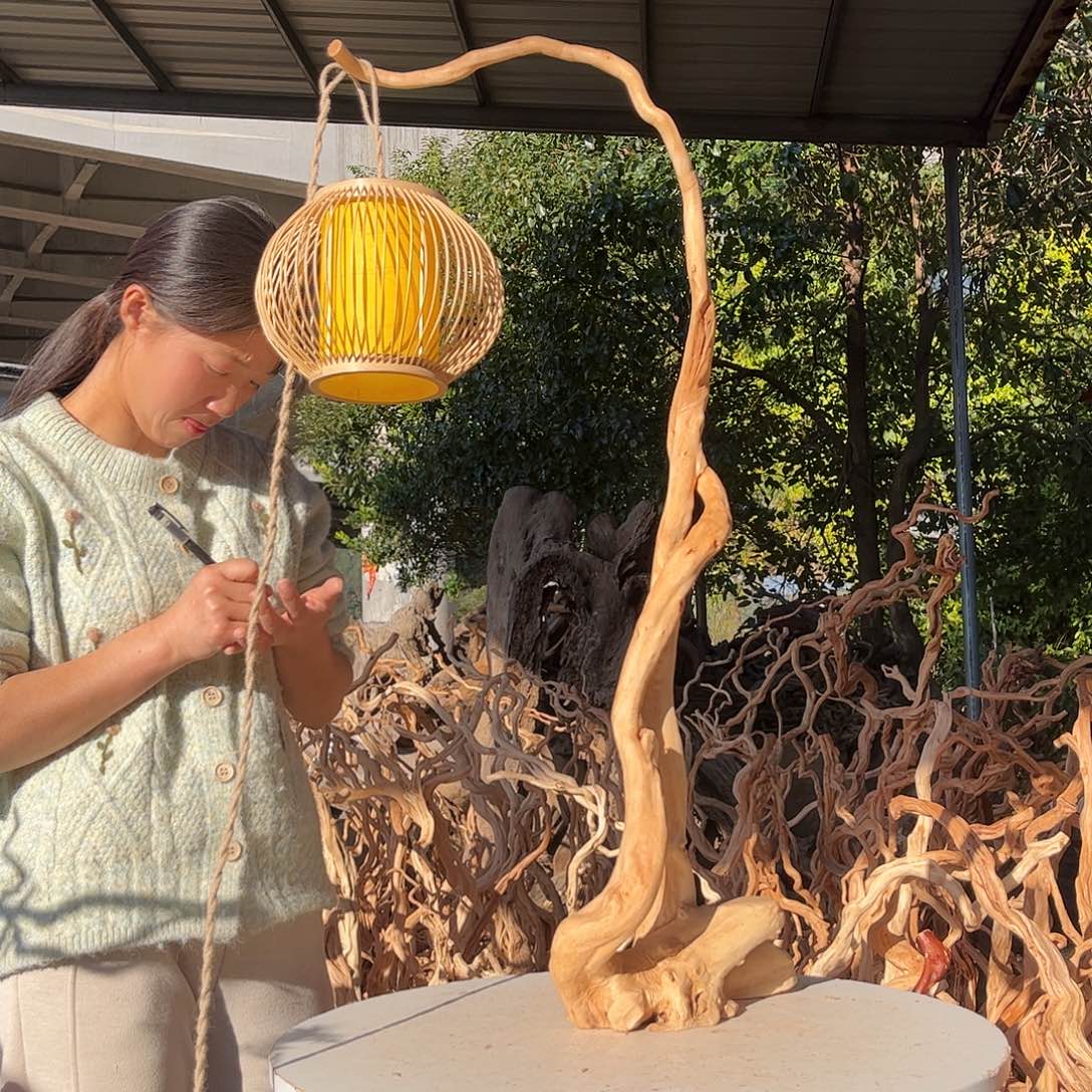 大****木我是一只小小鸟地域文化特色