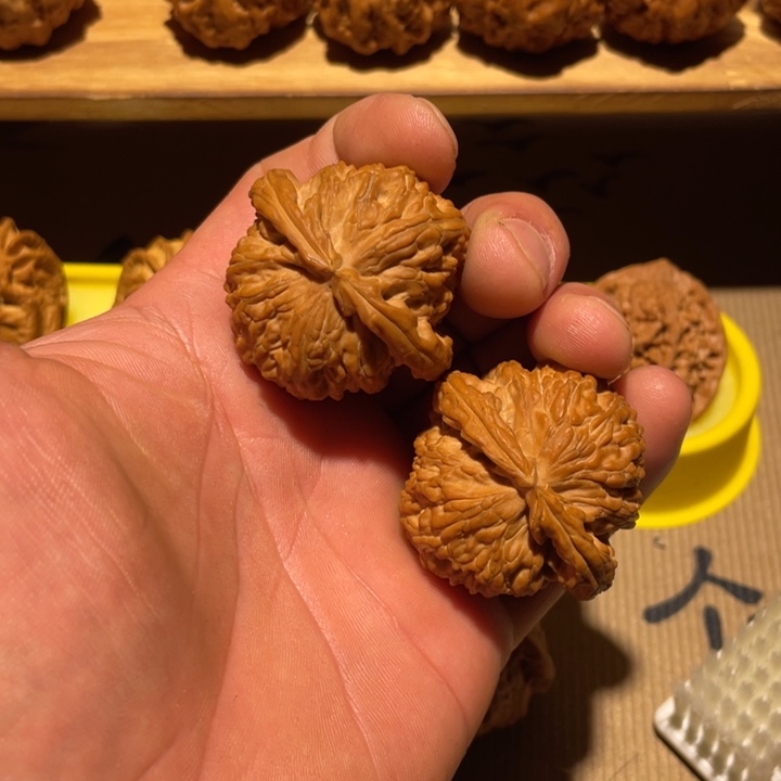 核桃43球白。。。。。。。。。