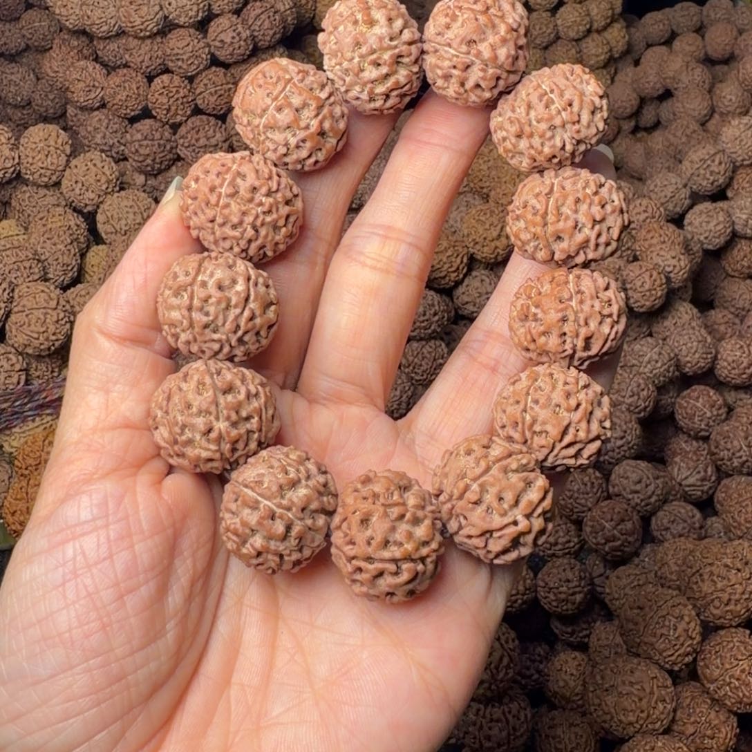 手串金刚菩提8瓣卡21尺，60号