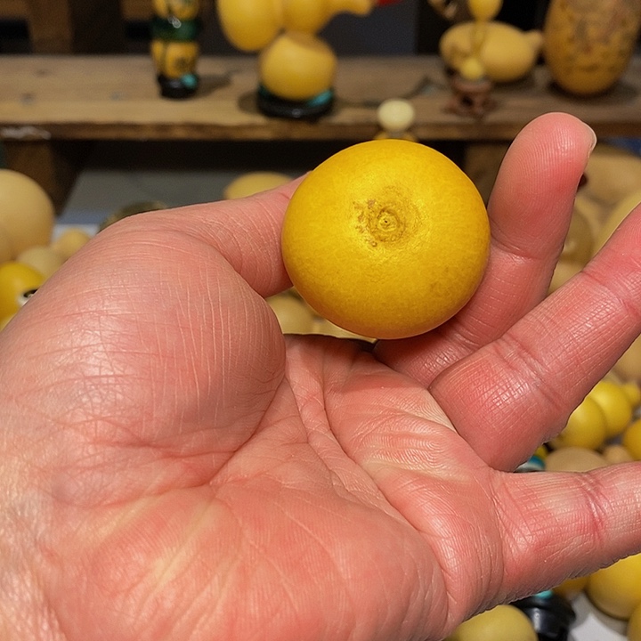 忠*?精品葫芦手把葫芦18