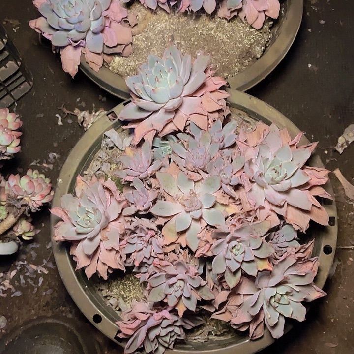 德***生不去看书不用上早了