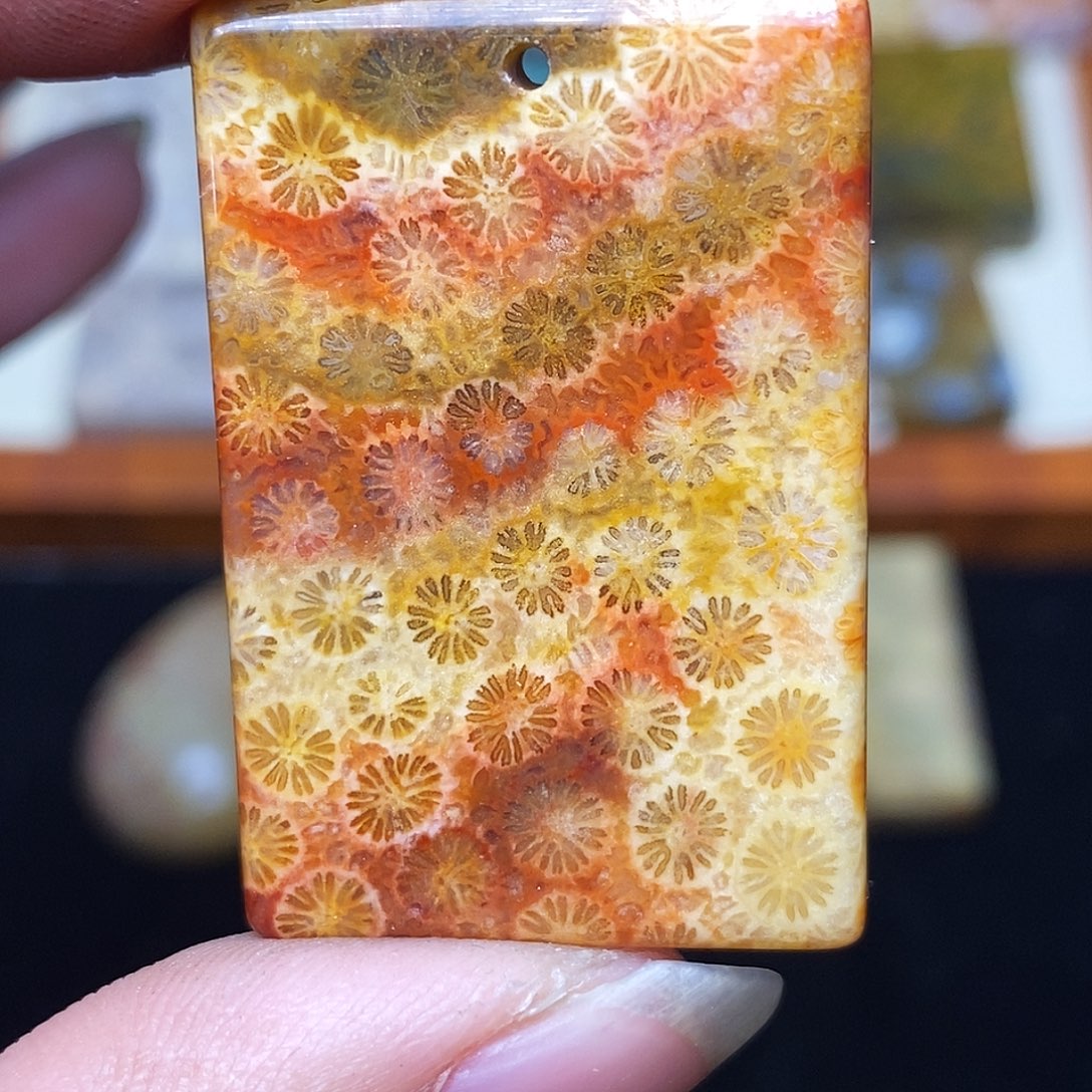 寻***欢硅化玉合金珊瑚玉