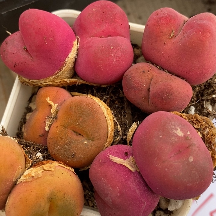 1134一组一组一组