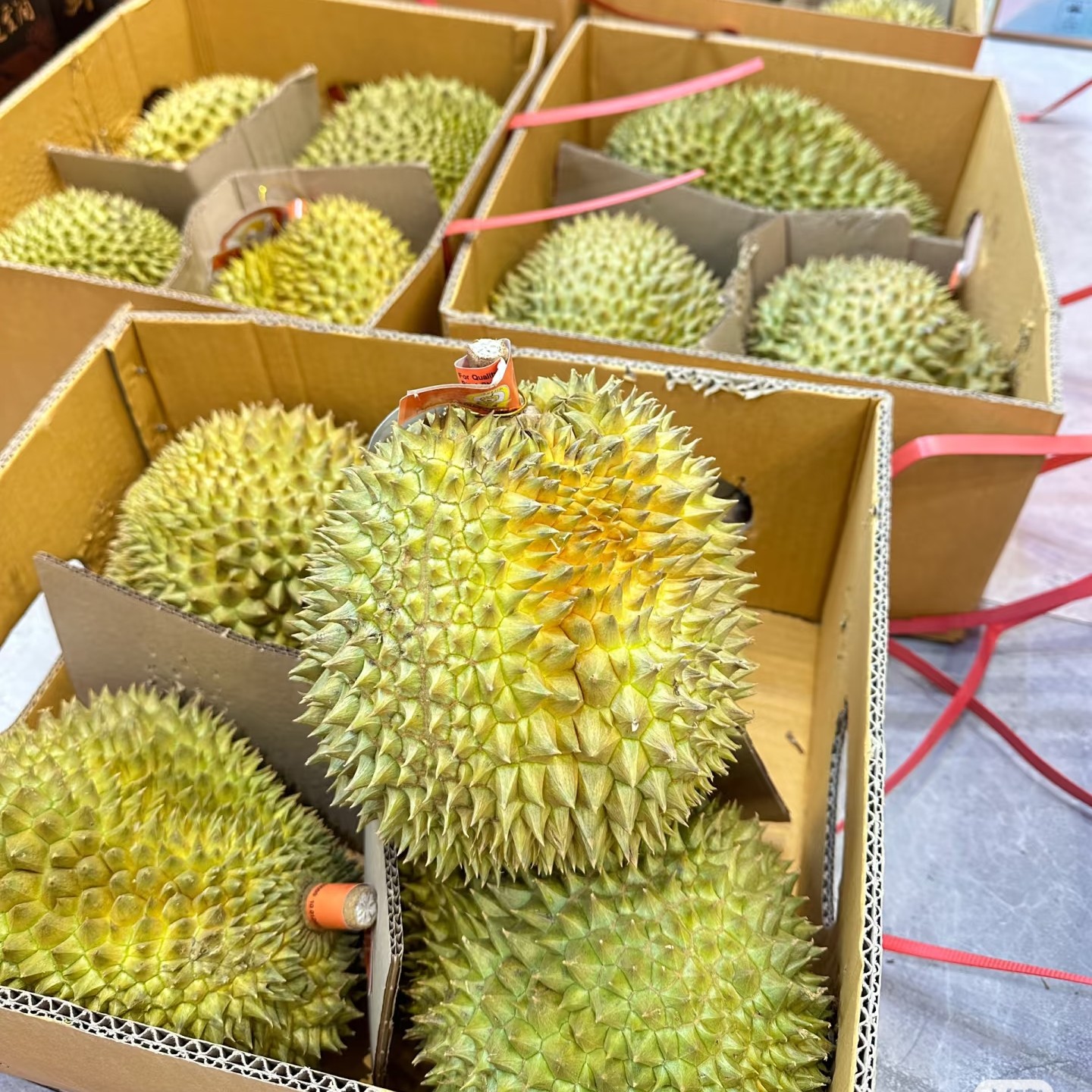 泰国空运树熟金枕鲜榴莲一果一重（核小）金枕泰国