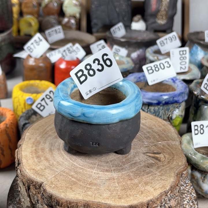 紫砂花盆新版小包子 内口4.5