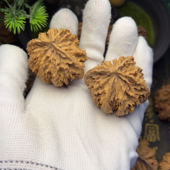 一****文玩核桃吊坠秦岭核桃8
