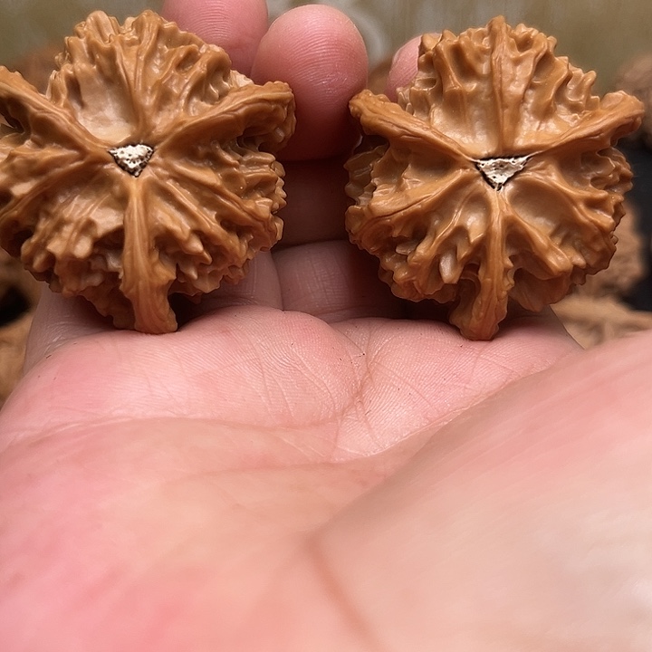 范***总文玩核桃吊坠你们都在